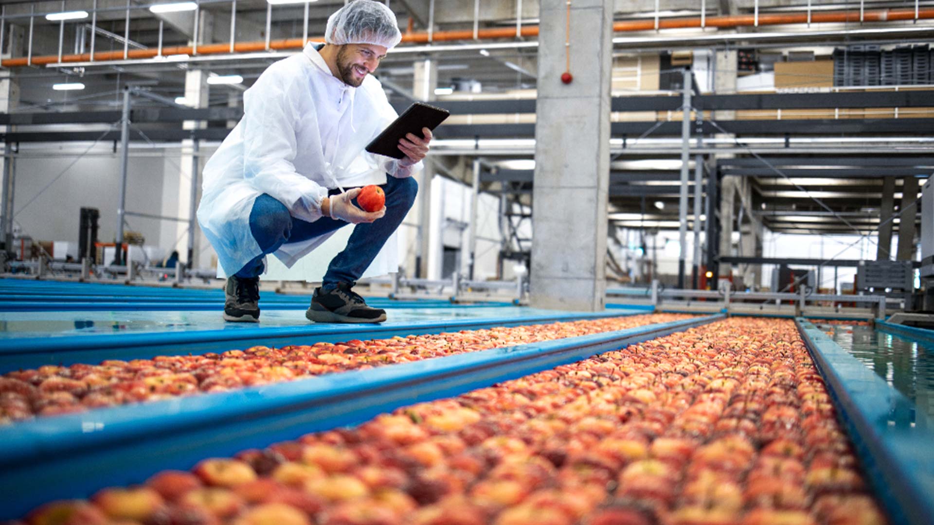 mejorar-el-control-de-calidad-en-procesos-industriales