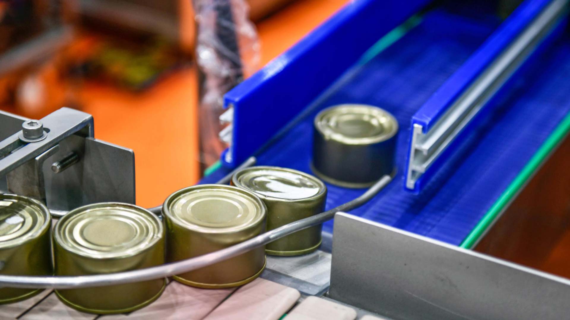 food-industry-vision-systems