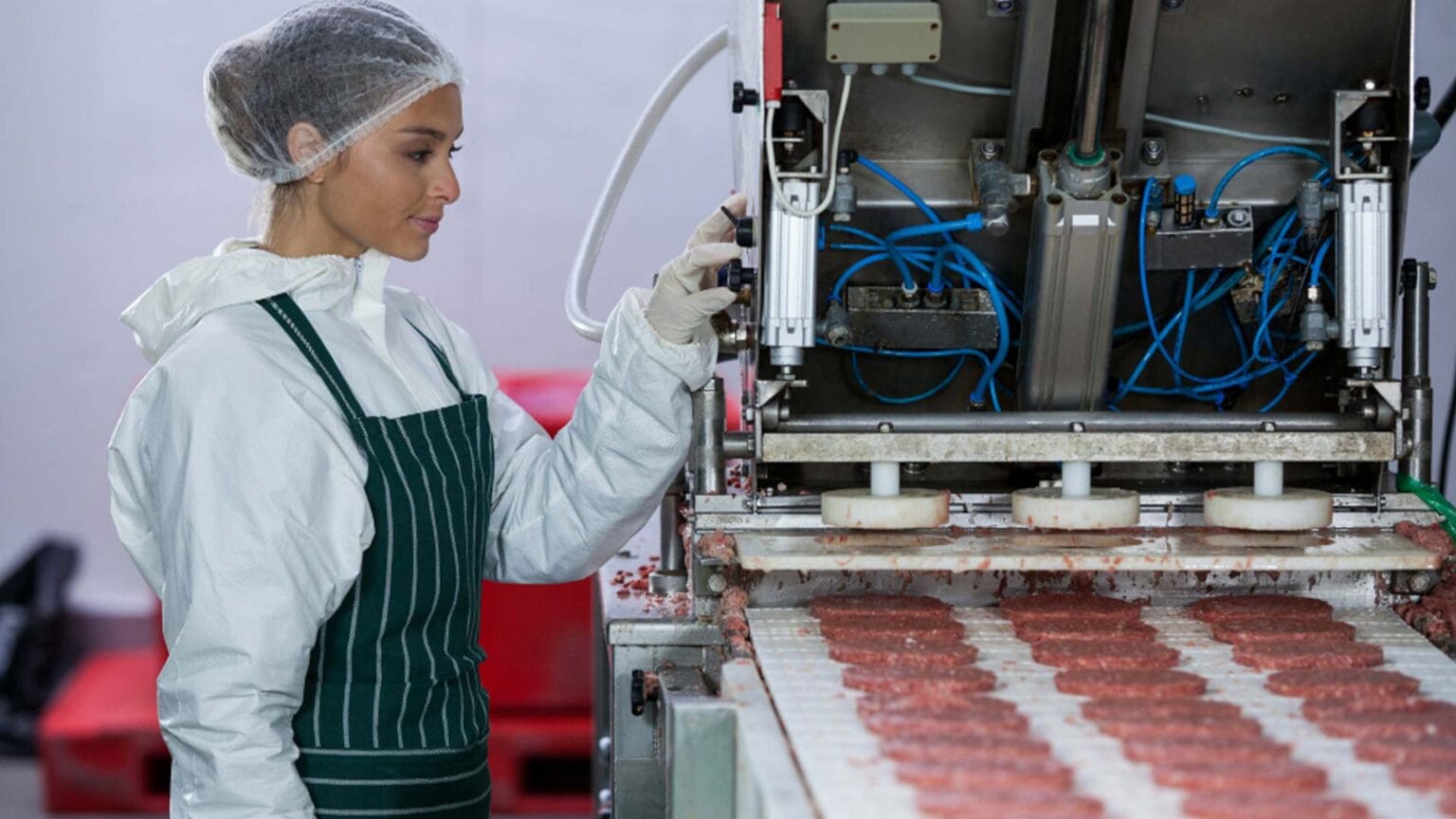 ¿Cómo automatizar una línea de producción de alimentos? | E2M COUTH