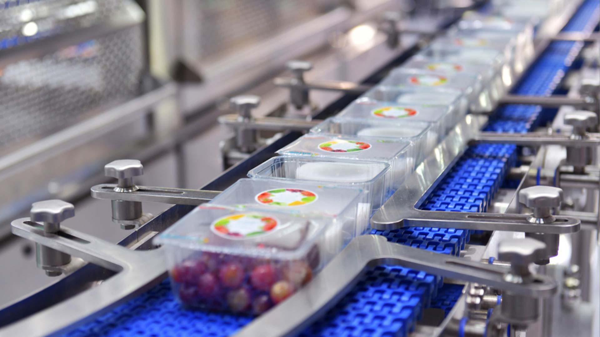 sealing-inspector-for-food-packaging